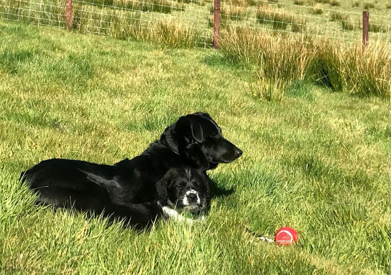 Вилла The Barn At Geufron Farm - Dog Friendly - Nr Tywyn Bryn-crug Экстерьер фото